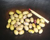 フェンネルと豆の国籍不明煮込み作り方1写真