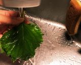しその葉 長期保存法作り方1写真