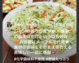 マヨネーズを使わないヘルシーコールスロー作り方14写真