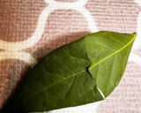 白菜＊キャベツのスープ【ローリエ味】作り方3写真