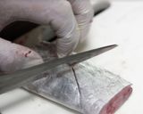 究極のタチウオの煮付け【食遺産】作り方2写真