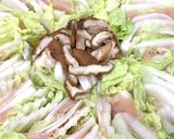 鶏むね肉、白菜、大根のミルフィーユ鍋作り方6写真