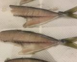 カリカリ鯵の骨せんべい作り方1写真