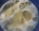 カリカリ鯵の骨せんべい作り方3写真