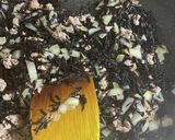 ご飯に♪ひじきと豚ひき肉の炒め物作り方4写真