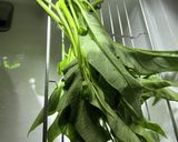 空心菜とイカのピリ辛炒め作り方1写真
