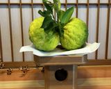 鬼柚子のピール作り方14写真