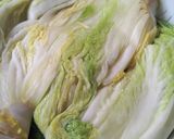 白菜キムチ作り方1写真
