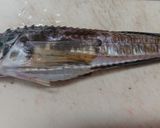 味噌ダレ八角(トクビレ)焼き魚作り方1写真