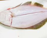 【ヒラメ】5枚おろし捌いてみた作り方6写真