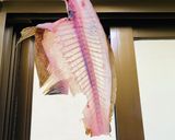 【ヒラメ】5枚おろし捌いてみた作り方9写真