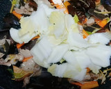 本場の味！とろとろ野菜の八宝菜作り方26写真