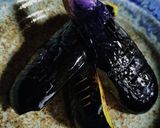 厨房ばあばぁ!茄子鰹節かけタン!作り方2写真