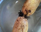 岩国蓮根チップス作り方2写真