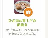 ひき肉と青ネギの卵焼き作り方11写真