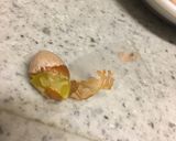 これは便利！銀杏の薄皮を剥く方法作り方4写真