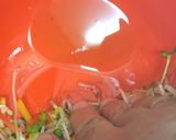ワラサと５種の野菜のカルパッチョ作り方4写真