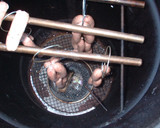 手作りソーセージ作り方8写真