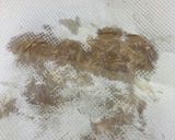 ご飯がススム☆鶏肉の味噌漬け♪作り方5写真