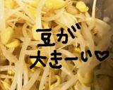 大きーい豆もやしナムル作り方4写真