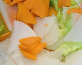 簡単！白菜と大根と人参の即席漬け作り方1写真