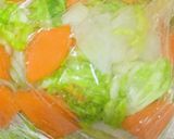 簡単!白菜と大根と人参の即席漬け作り方2写真