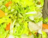 簡単!白菜と大根と人参の即席漬け作り方4写真