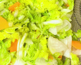 簡単！白菜と大根と人参の即席漬け作り方4写真