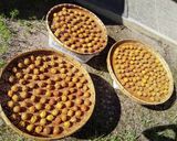 母の簡単らっきょ酢の梅干し作り方4写真