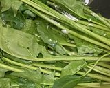 ほうれん草のベーコン舞茸ガーリックあえ作り方7写真