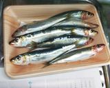 【男飯】イワシの旨辛醤油煮作り方1写真