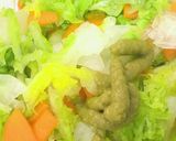 簡単!白菜と大根と人参の即席漬け作り方5写真