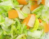 簡単!白菜と大根と人参の即席漬け作り方6写真
