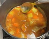 【リメイク】ポトフをカレーに♪作り方2写真