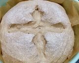 2*林檎酵母カカオニブ胡麻の高加水パン作り方12写真