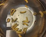 極上！ベニカミキリ幼虫の捕り方・食べ方作り方8写真