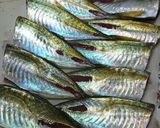 釣果で。ふっくらふわさくアジフライ。作り方1写真