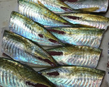 釣果で。ふっくらふわさくアジフライ。作り方1写真