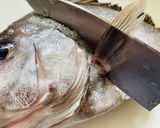 【コショウダイ】捌いてみた作り方1写真