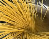 鮭のクリームパスタ作り方5写真