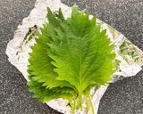 ウチのアレ♡大葉ぴんぴん長持ち保存法作り方1写真