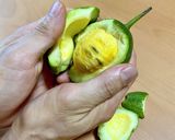 かじゅうりの天ぷら《御蔵島の伝統食》作り方4写真