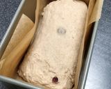 1*林檎酵母の高加水クランベリーパン作り方9写真