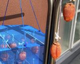 干し柿作り方10写真