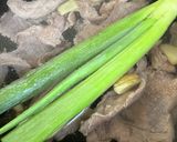 牛すじと根菜の煮込み作り方5写真