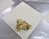こざくら保育園の春巻き作り方10写真