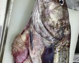 たら白子 簡単下処理 鮮魚市場より~作り方7写真