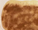 シナモンロール　korvapuusti作り方7写真