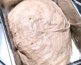 1*林檎酵母の高加水クランベリーパン作り方2写真