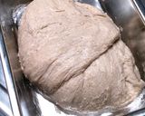 1*林檎酵母の高加水クランベリーパン作り方4写真